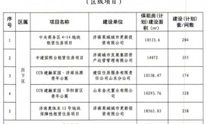 济南公布保障性租赁住房认定项目清单,详情看这里