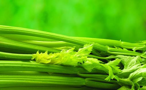 芹菜是不是天然的降压菜 芹菜的功效分析与食谱推荐