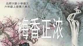 白桦先生名作《梅香正浓》和扬州、扬州市民有什么关系