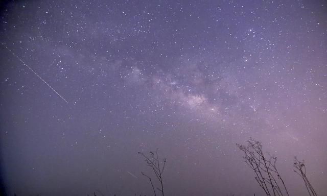 2020天琴座流星雨在哪个方位