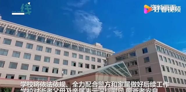 如何看待大连理工大学一研究生校内车祸身亡，肇事者为学校教师