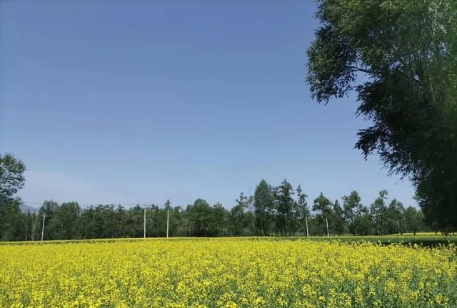 青海省西宁市位置怎么样,青海省西宁市怎么样