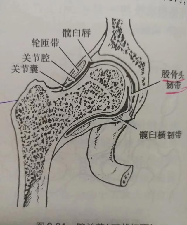 练瑜伽半年了劈不了叉怎么办,瑜伽是遵循高难度动作吗