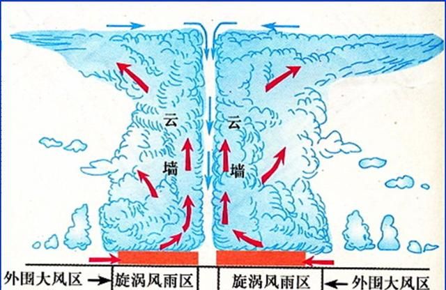 什么是台风雨