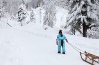 雪乡旅游攻略自助游 中国雪乡旅游攻略自助游