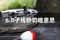 6.0子线秒切啥意思