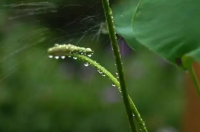 4月份是不是梅雨季节