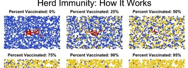 群体免疫有科学的解释吗,群体免疫法解释