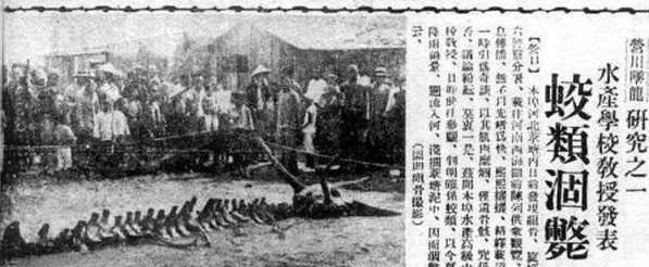 最诡异的一个1934年龙事件,世界上关于龙的几个目击事件