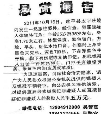 中国近十年百个经典刑事案件启示