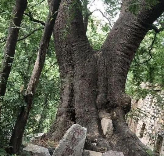 沁阳封门村为什么叫中国第一鬼村