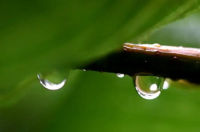 为什么武汉这些天老是下雨