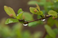 2023年春季雨水多吗