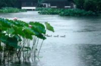 2023年梅雨季节是夏季吗